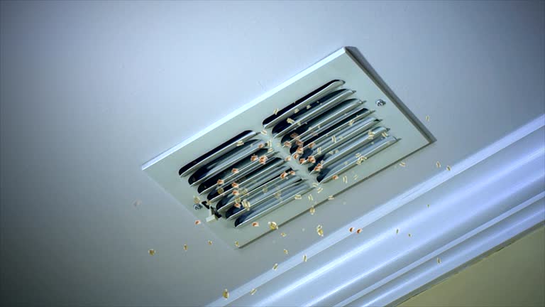 Affordable HVAC Duct Cleaning in Kingston, TN