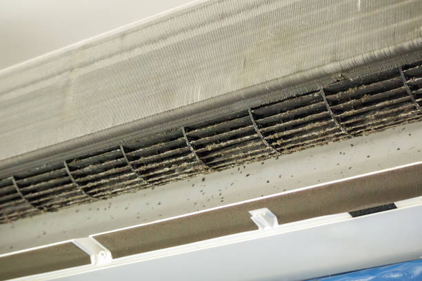 Best Air Duct Cleaning Near Me  in Kingston, TN